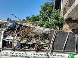 Best Recycling Services for Junk  in Rinna, VA